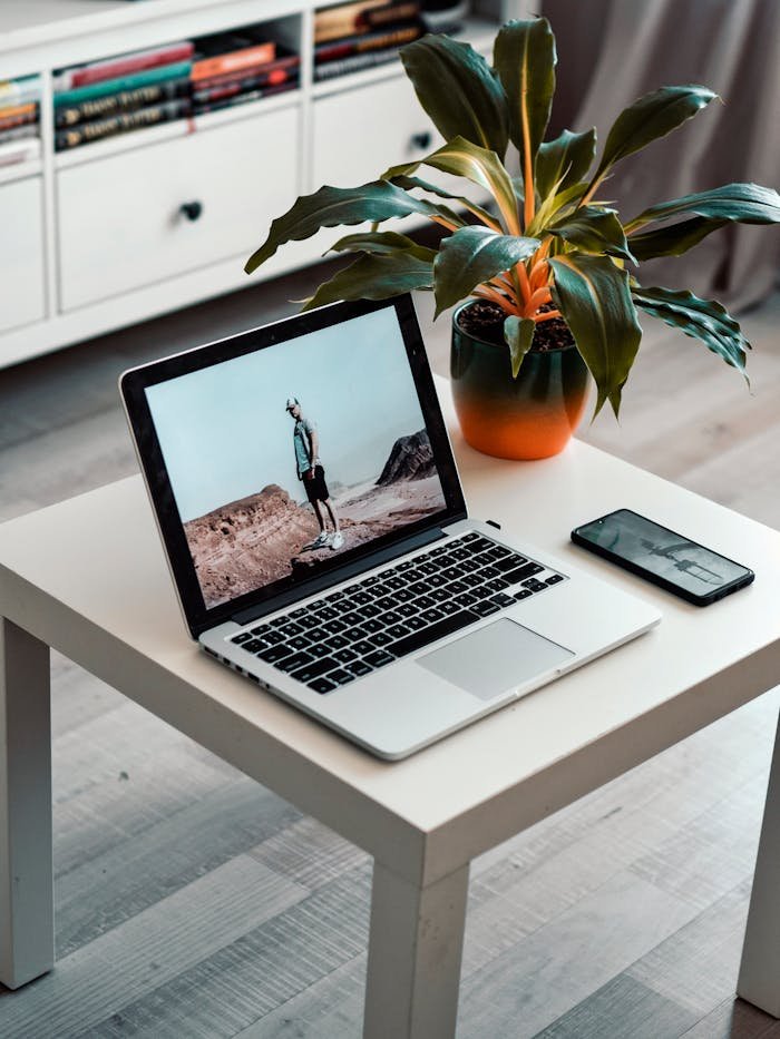 A home office setup featuring a laptop, smartphone, and potted plant on a minimalist desk.